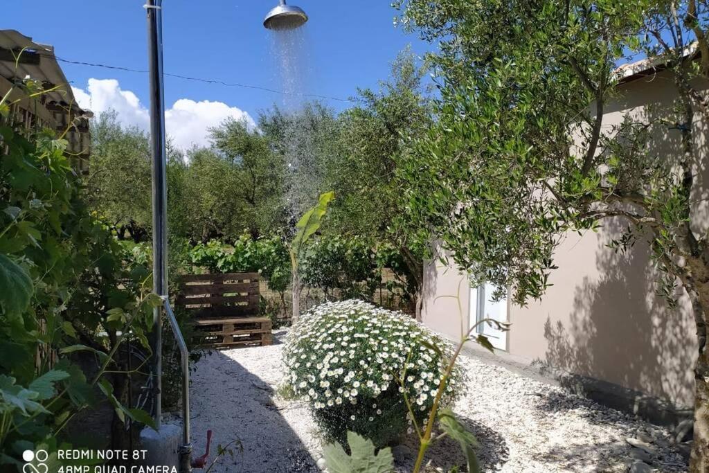 Vila Raisin House Koukounariá Exteriér fotografie